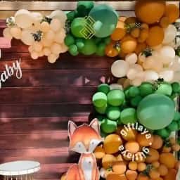 Customized Oh Baby Backdrop