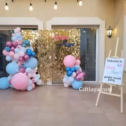 Baby Shower Sequins Backdrop