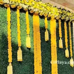 Haldi Backdrop Design