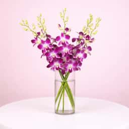 Purple Floral Beauty