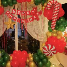 Merry Christmas Backdrop