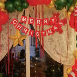 Merry Christmas Backdrop