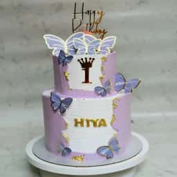 Two Tier Butterfly Theme Cake