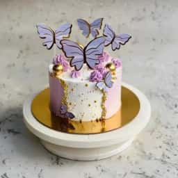 Butterfly Cake for Birthday