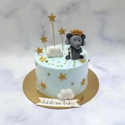 Baby Elephant Welcome Cake