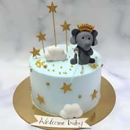 Baby Elephant Welcome Cake