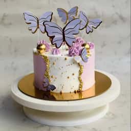 Butterfly Cake for Birthday