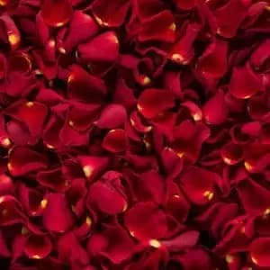 Rose Petals (500gm)
