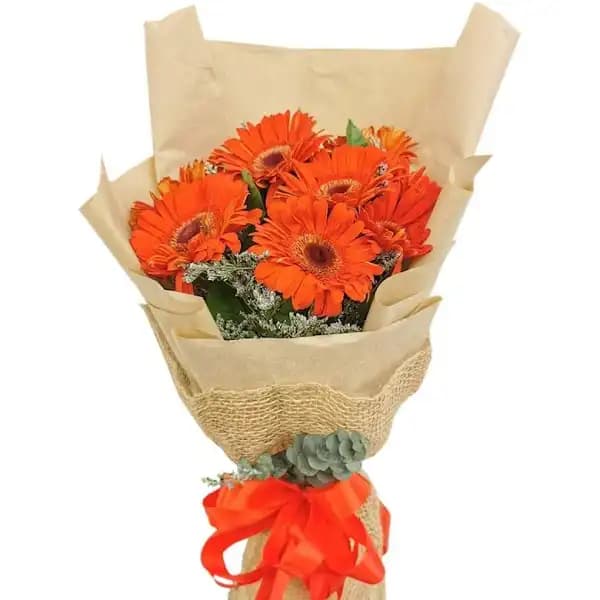 Red Gerberas (8 pcs)