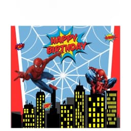 Spider Man Flex