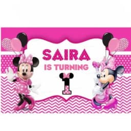 Minnie Theme Flex