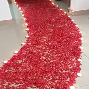 Rose Petals Message on Bed
