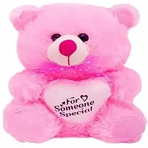 Teddy Bear (8 inch)