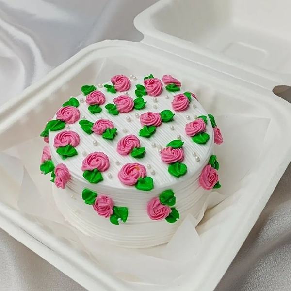 Simple Bento Cake