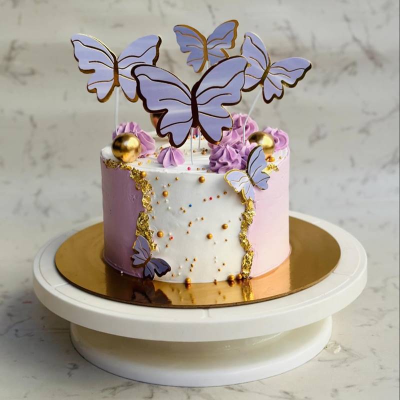 Butterfly Cake for Birthday