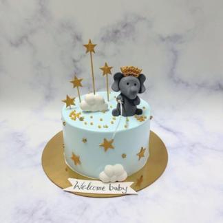 Baby Elephant Welcome Cake