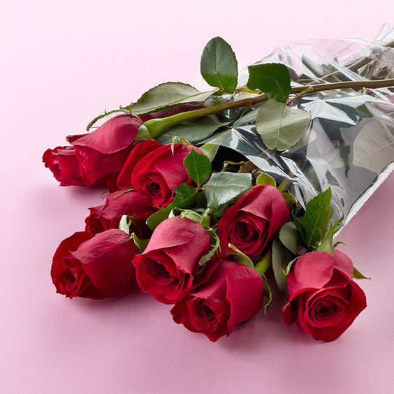 Valentine's Day List - 7th February 2024 - Rose Day